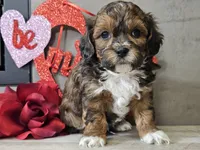 processed/b2c8a5ab-a85d-4975-92e4-a70215ce169d/listing/802d039c-ac6f-4903-877e-28659194aeeb/edbc0788-ce33-4403-945e-5b1a85d98088