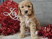 processed/b2c8a5ab-a85d-4975-92e4-a70215ce169d/listing/a447f794-5afd-44a8-b288-baadfdace49d/05e45e49-1a28-4db9-8a3f-5eb94931adeb