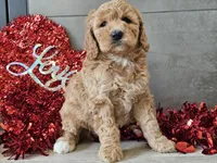 processed/b2c8a5ab-a85d-4975-92e4-a70215ce169d/listing/a447f794-5afd-44a8-b288-baadfdace49d/22d94f2a-7e20-4078-8a49-439f0ca74911