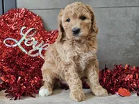 processed/b2c8a5ab-a85d-4975-92e4-a70215ce169d/listing/a447f794-5afd-44a8-b288-baadfdace49d/2e389996-3024-4f8e-b90e-f811aaf07f23