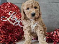 processed/b2c8a5ab-a85d-4975-92e4-a70215ce169d/listing/a447f794-5afd-44a8-b288-baadfdace49d/317a97ec-1497-4c2d-9caf-978f740ed53e