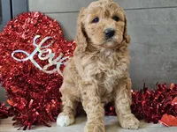 processed/b2c8a5ab-a85d-4975-92e4-a70215ce169d/listing/a447f794-5afd-44a8-b288-baadfdace49d/6b501266-88f1-45d7-ab6e-2f614167fdcb