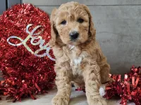 processed/b2c8a5ab-a85d-4975-92e4-a70215ce169d/listing/a447f794-5afd-44a8-b288-baadfdace49d/6b61d09d-a94c-499f-8c62-eef611eb0b52