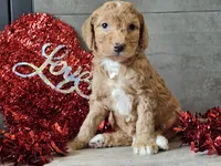 processed/b2c8a5ab-a85d-4975-92e4-a70215ce169d/listing/a6307619-2fca-497b-abd7-220e23383836/2bd961a6-e7da-4d18-bccd-c3c6992200a7