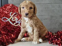 processed/b2c8a5ab-a85d-4975-92e4-a70215ce169d/listing/a6307619-2fca-497b-abd7-220e23383836/3a756814-4cc4-4add-8518-4ff0823e2e9b