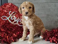 processed/b2c8a5ab-a85d-4975-92e4-a70215ce169d/listing/a6307619-2fca-497b-abd7-220e23383836/52455ae0-ea1c-4912-976a-caffd1ae0f6e