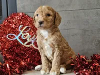 processed/b2c8a5ab-a85d-4975-92e4-a70215ce169d/listing/a6307619-2fca-497b-abd7-220e23383836/a061207a-6a00-4f56-a25d-98fea8d77823