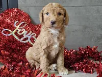 processed/b2c8a5ab-a85d-4975-92e4-a70215ce169d/listing/a6307619-2fca-497b-abd7-220e23383836/b4f34ded-40bb-4f88-8139-83ac2c340400