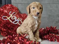 processed/b2c8a5ab-a85d-4975-92e4-a70215ce169d/listing/a6307619-2fca-497b-abd7-220e23383836/b8a22e92-4233-4cb6-878e-d43f0688c7fe