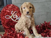 processed/b2c8a5ab-a85d-4975-92e4-a70215ce169d/listing/a6307619-2fca-497b-abd7-220e23383836/dbc95821-5a8b-451c-bd34-d2887def575a