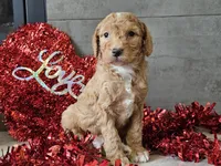 processed/b2c8a5ab-a85d-4975-92e4-a70215ce169d/listing/a6307619-2fca-497b-abd7-220e23383836/ed866663-db34-40a9-ac2f-74d10c143aae