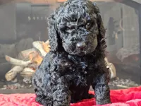 processed/b2c8a5ab-a85d-4975-92e4-a70215ce169d/listing/a66b2ab8-1bdb-4dbe-8ac9-b1693a254fd7/093c2e97-d528-44cb-885d-0b1e80a38231