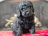 processed/b2c8a5ab-a85d-4975-92e4-a70215ce169d/listing/a66b2ab8-1bdb-4dbe-8ac9-b1693a254fd7/12542535-a43b-43e3-b0af-5e48f36dc1ef