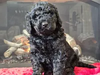 processed/b2c8a5ab-a85d-4975-92e4-a70215ce169d/listing/a66b2ab8-1bdb-4dbe-8ac9-b1693a254fd7/15c47745-b90b-4101-b5c8-3a81bddf8b36