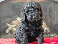 processed/b2c8a5ab-a85d-4975-92e4-a70215ce169d/listing/a66b2ab8-1bdb-4dbe-8ac9-b1693a254fd7/34799bfc-6337-4c87-8cb4-8fcaefcc5fbc