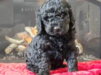 processed/b2c8a5ab-a85d-4975-92e4-a70215ce169d/listing/a66b2ab8-1bdb-4dbe-8ac9-b1693a254fd7/8ef0c493-0dcd-46db-8ce8-e9462f80314d