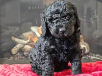 processed/b2c8a5ab-a85d-4975-92e4-a70215ce169d/listing/a66b2ab8-1bdb-4dbe-8ac9-b1693a254fd7/c642a3bc-c26f-4412-93f1-cdfb45e6f65c