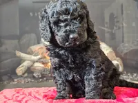 processed/b2c8a5ab-a85d-4975-92e4-a70215ce169d/listing/a66b2ab8-1bdb-4dbe-8ac9-b1693a254fd7/e9bb0c2a-ff7a-4554-a5fd-fee6d3bb221c