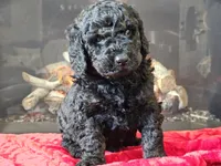 processed/b2c8a5ab-a85d-4975-92e4-a70215ce169d/listing/a66b2ab8-1bdb-4dbe-8ac9-b1693a254fd7/fea94db8-67f7-47ea-967d-8b10ad03b1a1