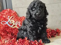 processed/b2c8a5ab-a85d-4975-92e4-a70215ce169d/listing/aff6332c-867e-4a58-9623-0aa89c85c146/49f450f0-aafd-45bc-8f38-a9e8446192f7