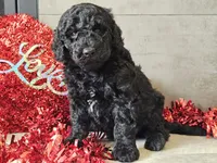 processed/b2c8a5ab-a85d-4975-92e4-a70215ce169d/listing/aff6332c-867e-4a58-9623-0aa89c85c146/cf241fb7-fcb5-4a84-9985-83a727615d9d