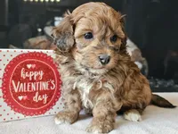 processed/b2c8a5ab-a85d-4975-92e4-a70215ce169d/listing/b5a140a1-d589-4a38-8301-de0699ab3f0c/12d8b800-826e-4772-93b9-48f3168170be