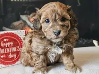 processed/b2c8a5ab-a85d-4975-92e4-a70215ce169d/listing/b5a140a1-d589-4a38-8301-de0699ab3f0c/75d8d11f-51c4-4dc6-947b-bcab06a6bc74