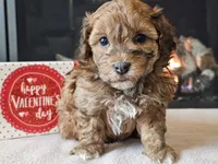 processed/b2c8a5ab-a85d-4975-92e4-a70215ce169d/listing/b5a140a1-d589-4a38-8301-de0699ab3f0c/aaa0dff2-9778-43ed-8966-e5128742ea30