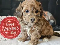 processed/b2c8a5ab-a85d-4975-92e4-a70215ce169d/listing/b5a140a1-d589-4a38-8301-de0699ab3f0c/aedc71f0-0e13-461c-a188-0f7efc9bcc0c