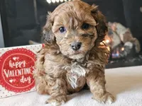 processed/b2c8a5ab-a85d-4975-92e4-a70215ce169d/listing/b5a140a1-d589-4a38-8301-de0699ab3f0c/b3466874-a059-491e-a627-dca44b95bf30