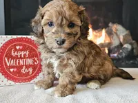 processed/b2c8a5ab-a85d-4975-92e4-a70215ce169d/listing/b5a140a1-d589-4a38-8301-de0699ab3f0c/b6772e6d-ef7e-4afd-a326-736b6658c4bc