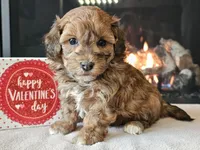 processed/b2c8a5ab-a85d-4975-92e4-a70215ce169d/listing/b5a140a1-d589-4a38-8301-de0699ab3f0c/ba097f11-2de2-41d1-bdcc-2f7ed8beed30