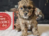 processed/b2c8a5ab-a85d-4975-92e4-a70215ce169d/listing/bb7ae1f8-094f-4406-a870-acb17710ab02/3c48de87-16e0-4827-981b-54ab42a89136