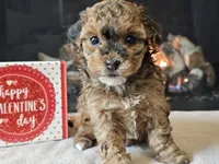 processed/b2c8a5ab-a85d-4975-92e4-a70215ce169d/listing/bb7ae1f8-094f-4406-a870-acb17710ab02/4ce1268a-4b8c-4a8f-82ce-6694ad626981