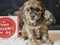 processed/b2c8a5ab-a85d-4975-92e4-a70215ce169d/listing/bb7ae1f8-094f-4406-a870-acb17710ab02/4ffa38d1-ead7-48a0-af25-6c46afddfb8d