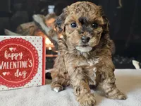 processed/b2c8a5ab-a85d-4975-92e4-a70215ce169d/listing/bb7ae1f8-094f-4406-a870-acb17710ab02/93a44e7e-5782-40f4-b9cb-89be3ea8a14d