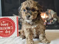 processed/b2c8a5ab-a85d-4975-92e4-a70215ce169d/listing/bb7ae1f8-094f-4406-a870-acb17710ab02/98d33f67-1978-4b77-9f82-f2c045b1f066