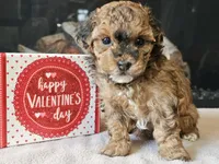 processed/b2c8a5ab-a85d-4975-92e4-a70215ce169d/listing/bb7ae1f8-094f-4406-a870-acb17710ab02/af4530e2-1ef1-48dc-ae5c-5df318484033