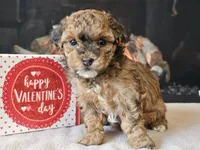 processed/b2c8a5ab-a85d-4975-92e4-a70215ce169d/listing/bb7ae1f8-094f-4406-a870-acb17710ab02/c37560d1-c4d9-4ca5-9011-c944862fd408