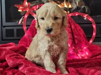 processed/b2c8a5ab-a85d-4975-92e4-a70215ce169d/listing/e1700d50-ec6f-43b0-9f64-f76e8388c3e0/338a6e13-ce8f-4228-8ed2-31f15369b5c2