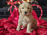 processed/b2c8a5ab-a85d-4975-92e4-a70215ce169d/listing/e1700d50-ec6f-43b0-9f64-f76e8388c3e0/344430eb-44ab-4e1f-a08e-197b1d6a86ef