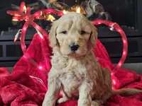 processed/b2c8a5ab-a85d-4975-92e4-a70215ce169d/listing/e1700d50-ec6f-43b0-9f64-f76e8388c3e0/548a7cda-83ee-4d7c-99ae-687b184d5473