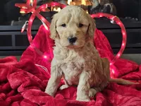 processed/b2c8a5ab-a85d-4975-92e4-a70215ce169d/listing/e1700d50-ec6f-43b0-9f64-f76e8388c3e0/64d6ba1f-8d35-4e99-9ebf-386b87b84b5b