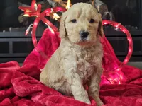 processed/b2c8a5ab-a85d-4975-92e4-a70215ce169d/listing/e1700d50-ec6f-43b0-9f64-f76e8388c3e0/7ce7559d-b03e-4836-b730-f074f5f8a8ab