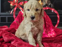 processed/b2c8a5ab-a85d-4975-92e4-a70215ce169d/listing/e1700d50-ec6f-43b0-9f64-f76e8388c3e0/9614fc5c-bf69-4e20-a00d-cf531e2874fd