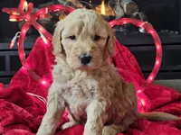 processed/b2c8a5ab-a85d-4975-92e4-a70215ce169d/listing/e1700d50-ec6f-43b0-9f64-f76e8388c3e0/e9ff91f2-f7bd-4696-ae7e-fe0a2c96c1a7