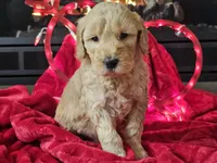 processed/b2c8a5ab-a85d-4975-92e4-a70215ce169d/listing/e1700d50-ec6f-43b0-9f64-f76e8388c3e0/f8a928fc-a1ac-42c4-b8af-7ccc2841c6f8