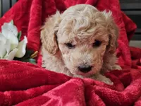 processed/b2c8a5ab-a85d-4975-92e4-a70215ce169d/listing/eadfa711-3328-494c-863a-25cbca929f9e/0894adf5-64da-40ba-8734-d3842eaeb5f7