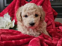 processed/b2c8a5ab-a85d-4975-92e4-a70215ce169d/listing/eadfa711-3328-494c-863a-25cbca929f9e/0a724640-8d02-49d5-a039-f321f1976b44