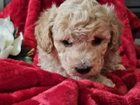 processed/b2c8a5ab-a85d-4975-92e4-a70215ce169d/listing/eadfa711-3328-494c-863a-25cbca929f9e/39454ea4-c5c6-411c-938d-9c5592bfa84c